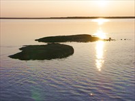 64 вечерний час (4)